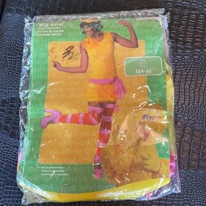 Women’s Big Bird Costume